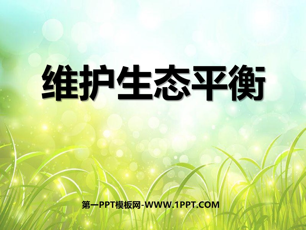 《维护生态平衡》生物与环境PPT课件3
