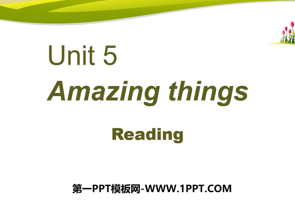 《Amazing things》ReadingPPT
