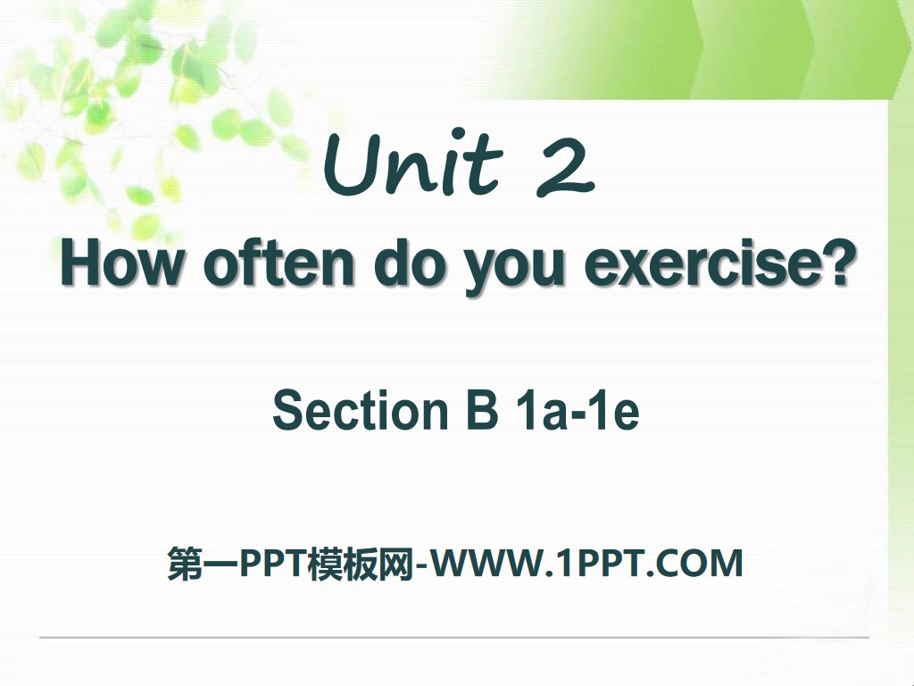 《How often do you exercise?》PPT课件24

