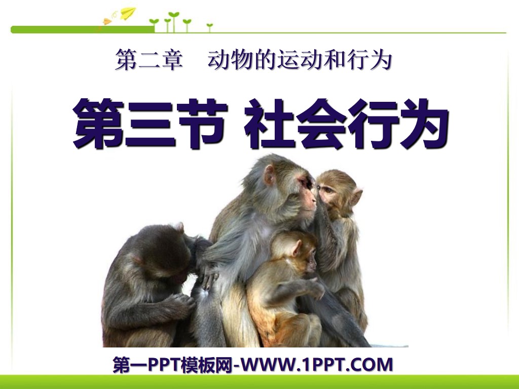 《社会行为》动物的运动和行为PPT课件4
