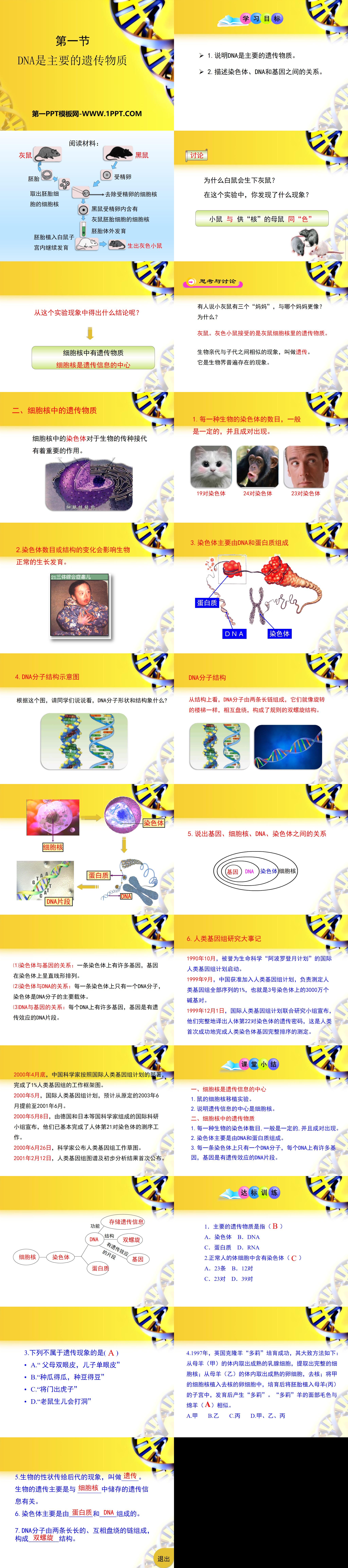 苏教版八年级生物下册（2）