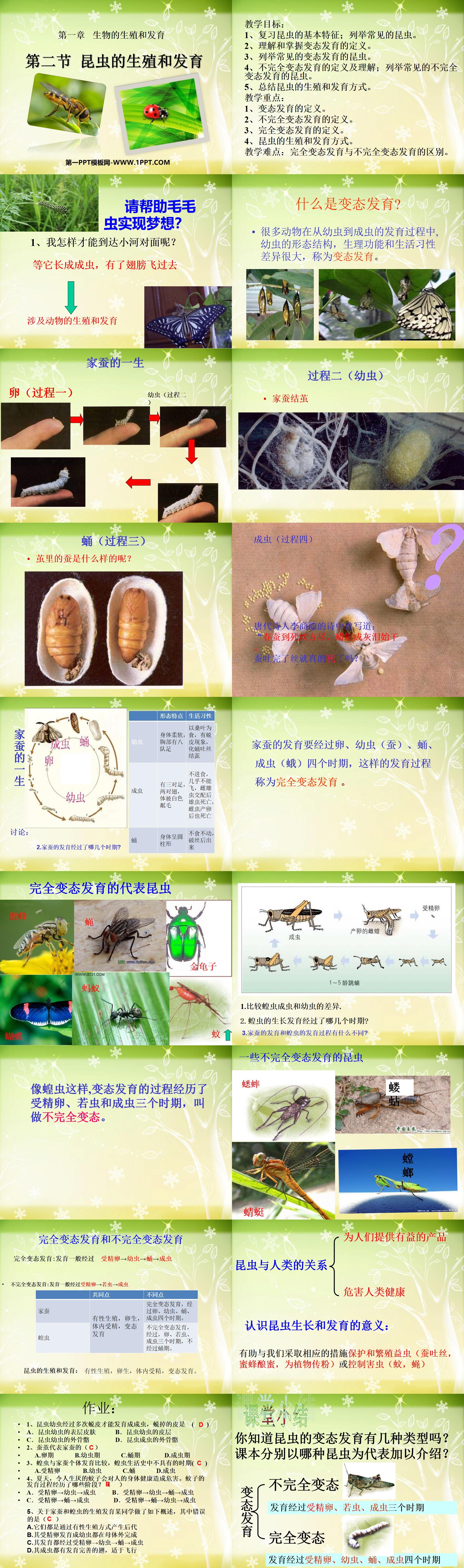 《昆虫的生殖和发育》生物的生殖和发育PPT课件5
（2）