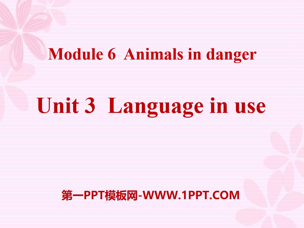 《Language in use》Animals in danger PPT課件4