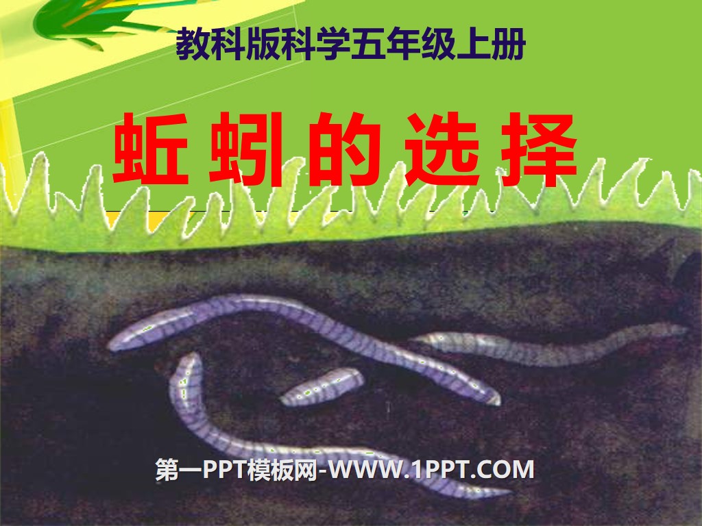 "The Choice of Earthworms" Biology and Environment PPT Courseware 2