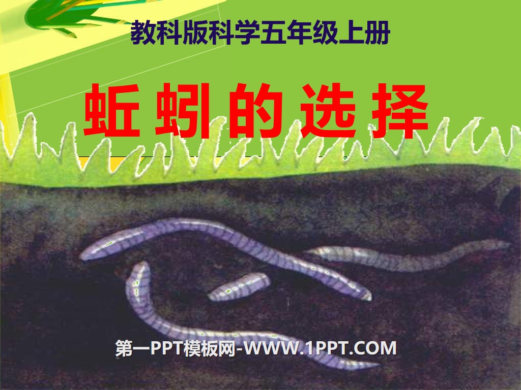 《蚯蚓的选择》生物与环境PPT课件2
