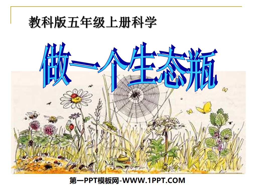 《做一个生态瓶》生物与环境PPT课件4
