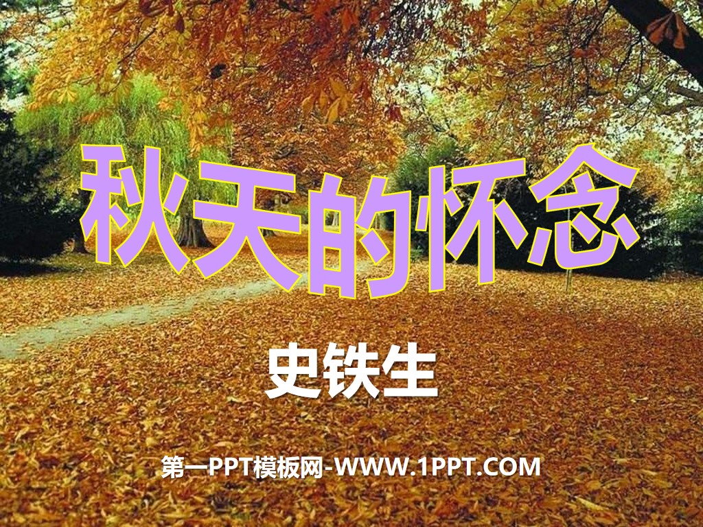 《秋天的怀念》PPT课件5