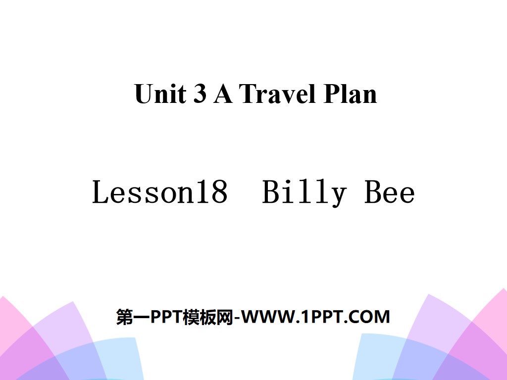 《Billy Bee》A Travel Plan PPT