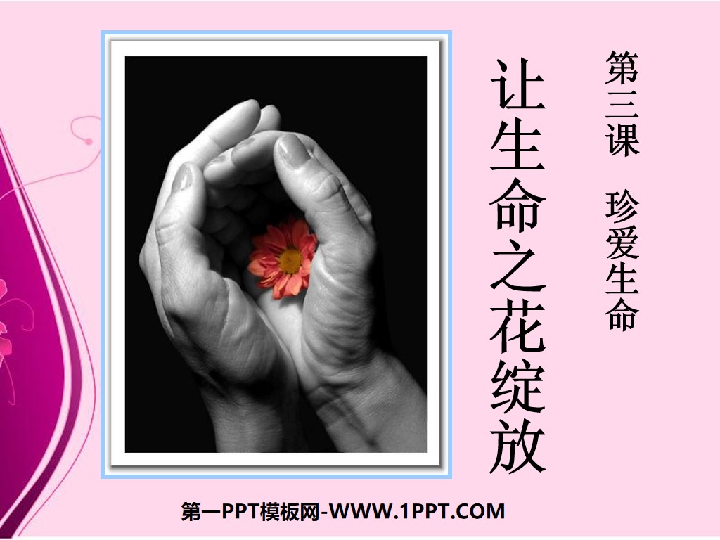 "Let the Flower of Life Bloom" Cherish Life PPT Courseware