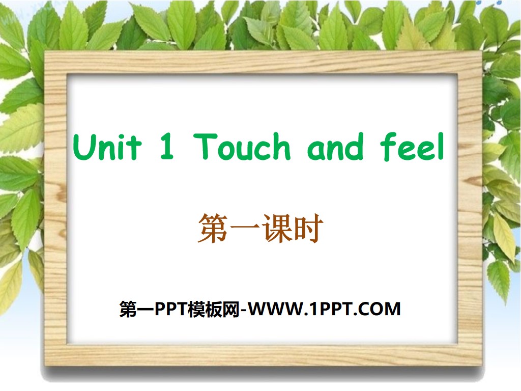 《Touch and feel》PPT
