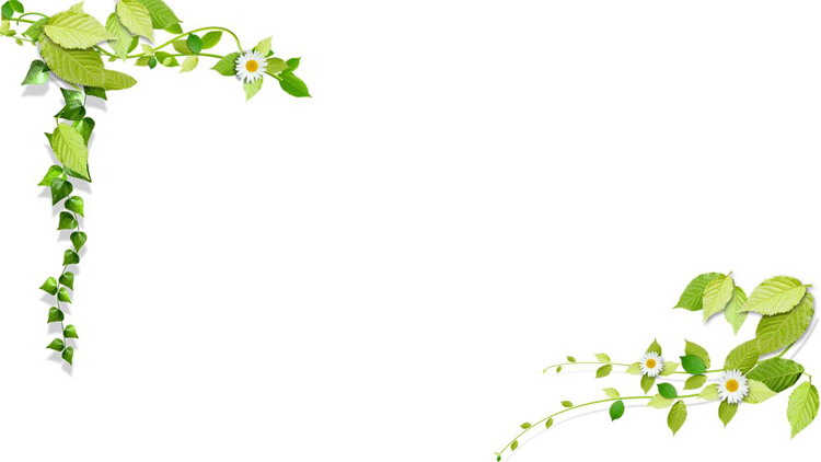 Two sets of green leaves PPT border background pictures
