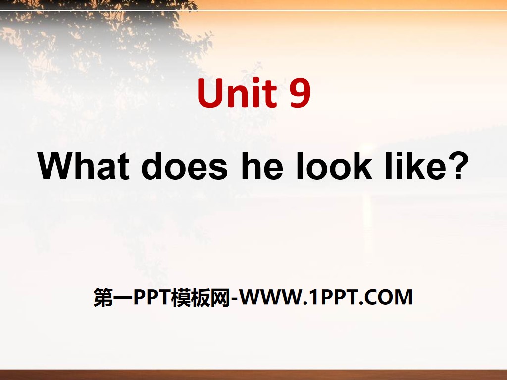 《What does he look like?》PPT课件10
