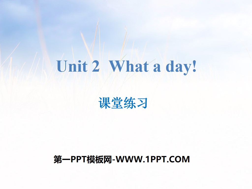 《What a day!》课堂练习PPT

