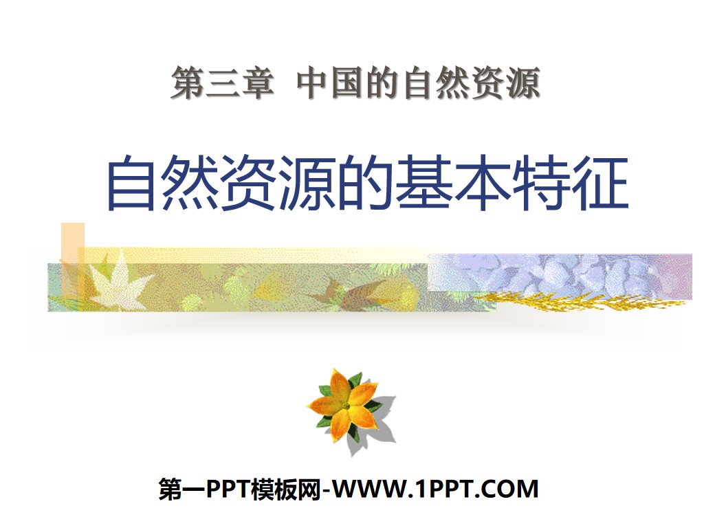 《自然资源的基本特征》中国的自然资源PPT课件6
