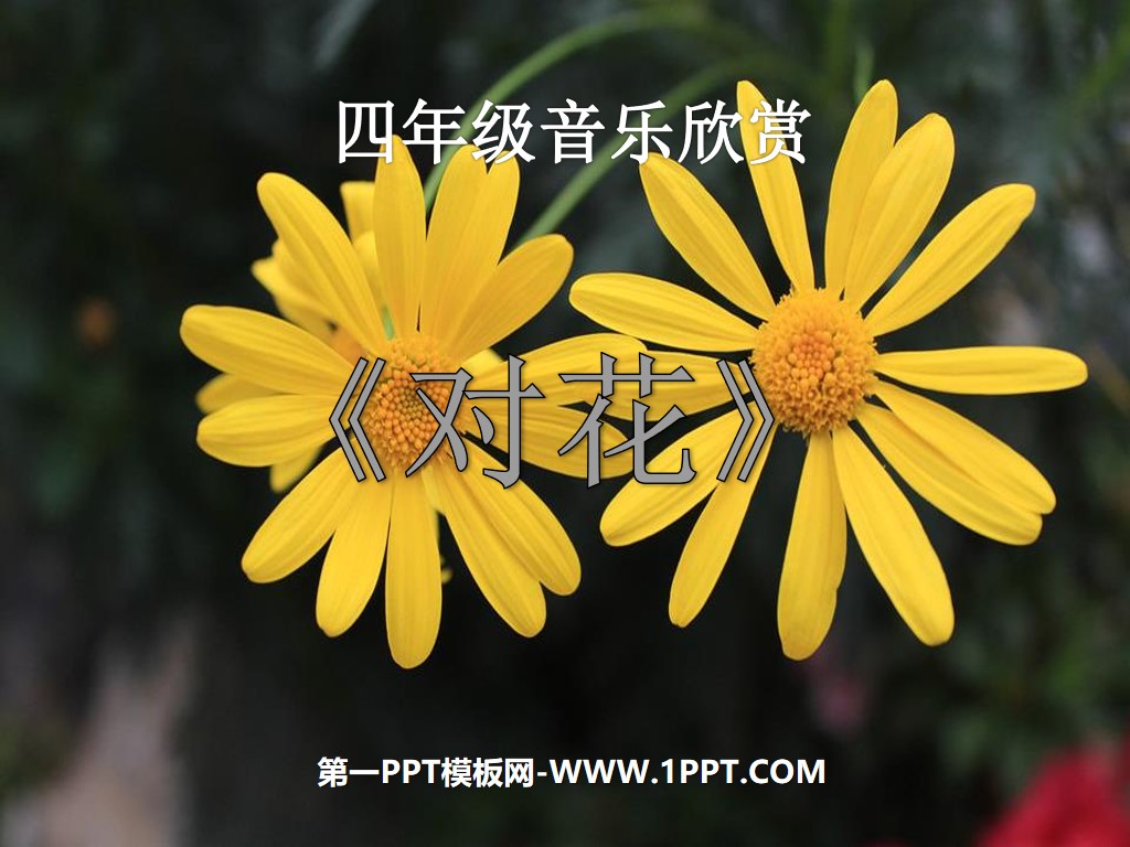 《对花》PPT课件3
