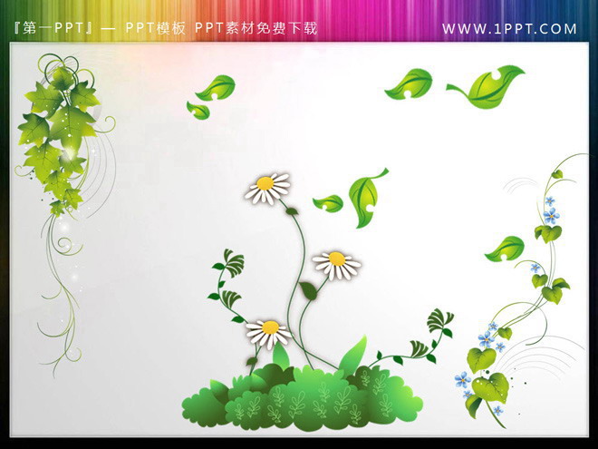 Slideshow vignette material of grape vine background