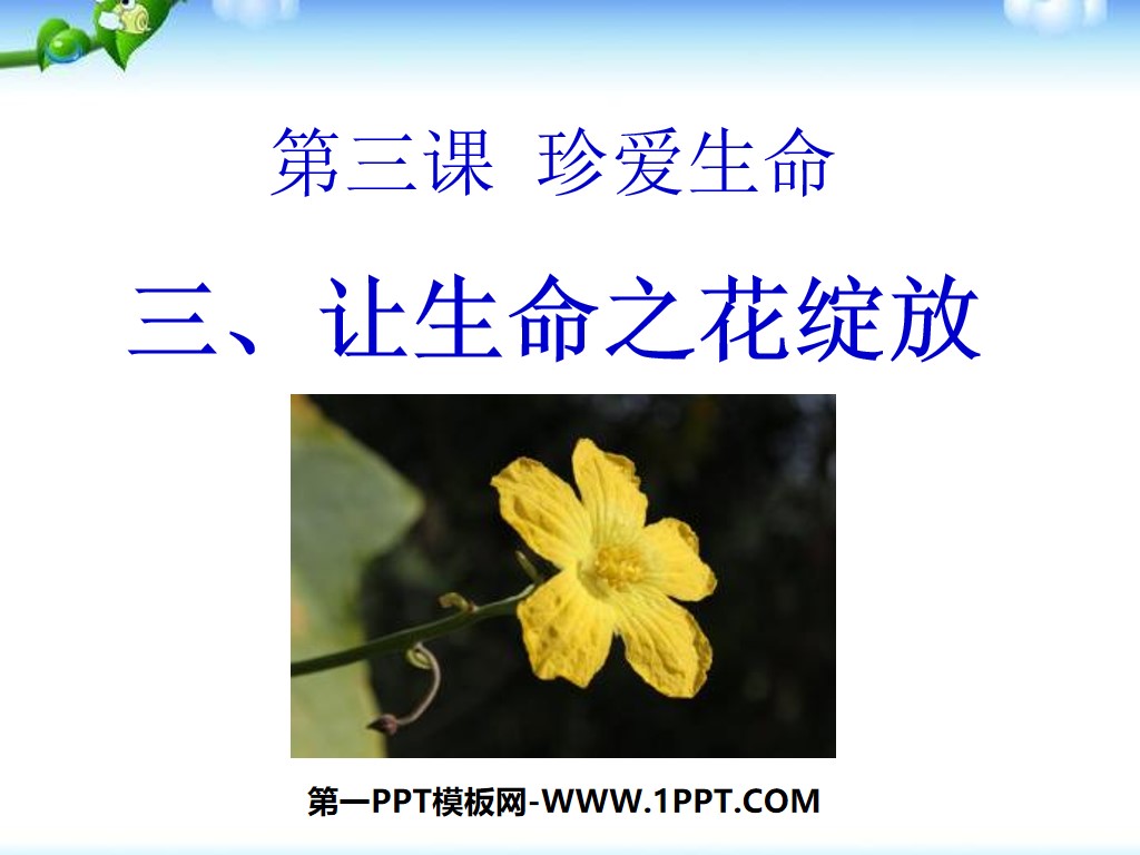 "Let the Flower of Life Bloom" Cherish Life PPT Courseware 6