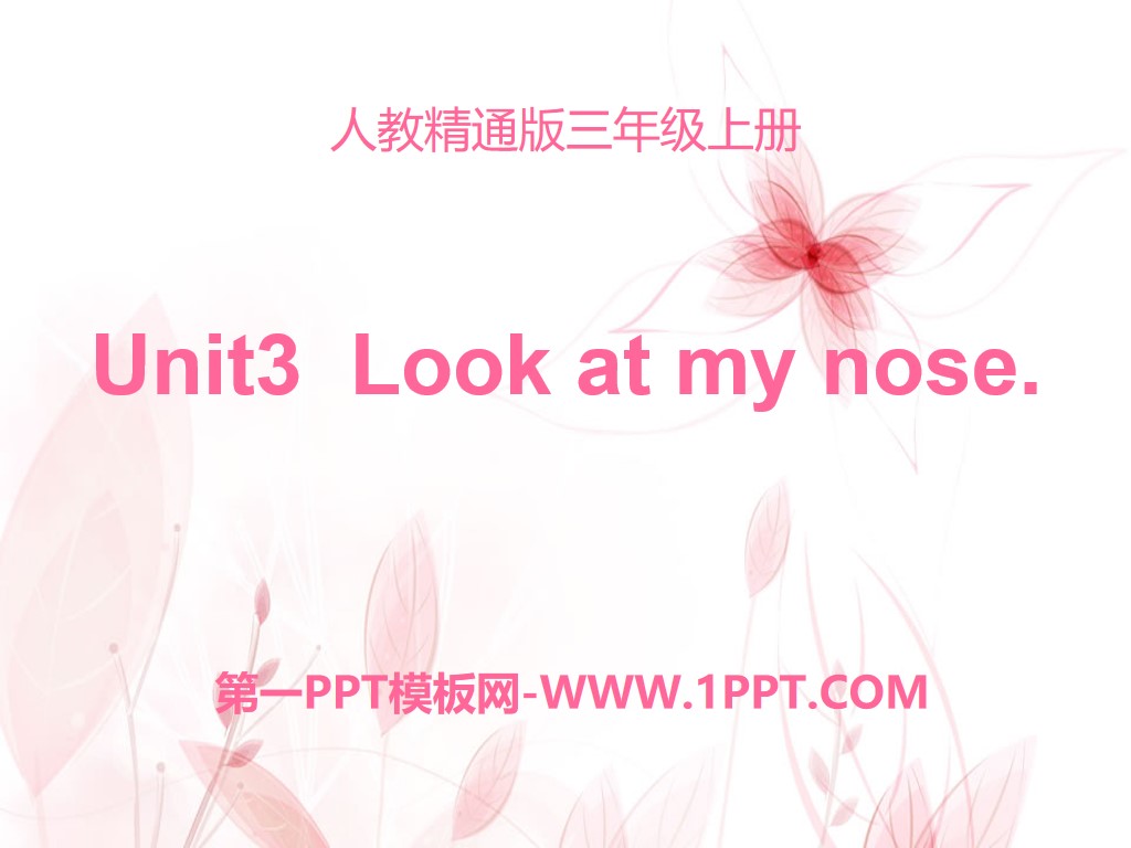 《Look at my nose》PPT课件

