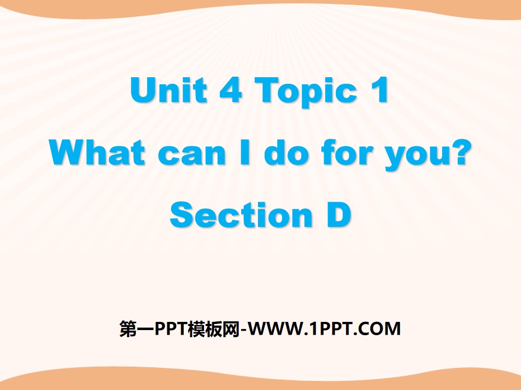 "What can I do for you?" SectionD PPT